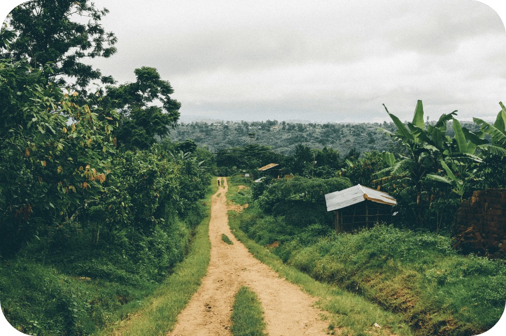 View of farm and road